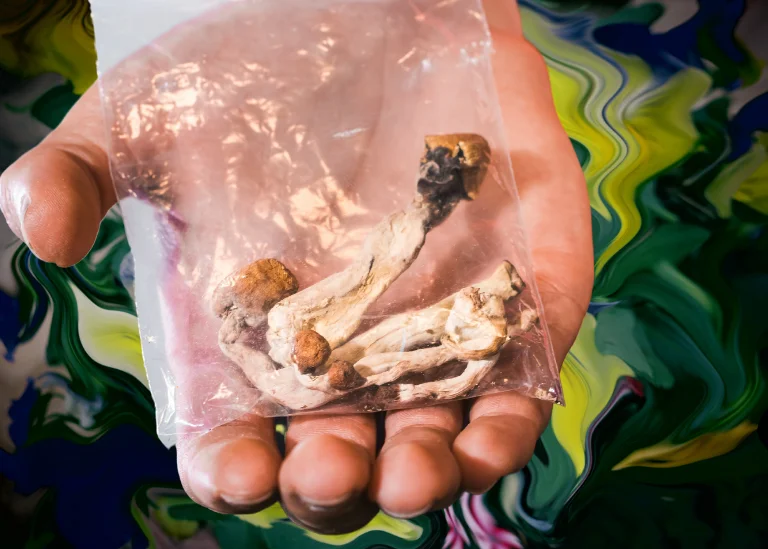 first time doing shrooms – the ultimate guide