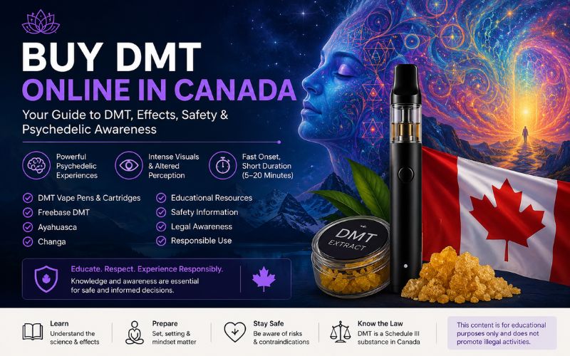 Buy DMT Online in Canada: What You Should Know Before Exploring Psychedelics