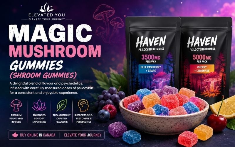 Magic Mushroom Gummies: What Are Shroom Gummies and How Do They Work