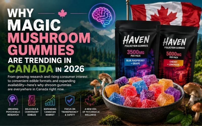 Why Magic Mushroom Gummies Are Trending in Canada in 2026